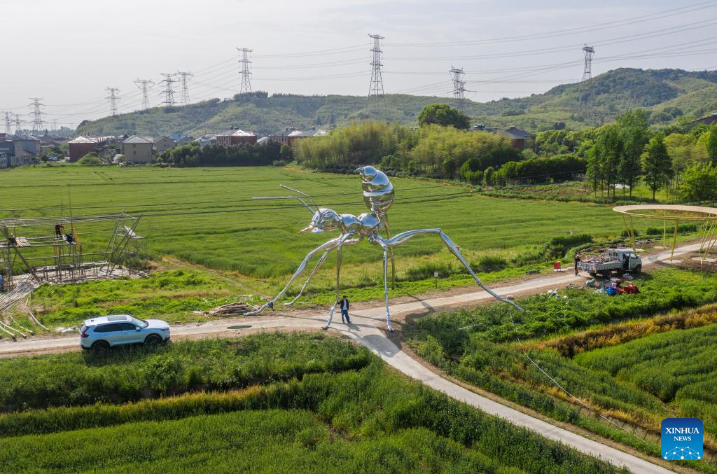 Land art event kicks off in Donglin Town, China's Zhejiang